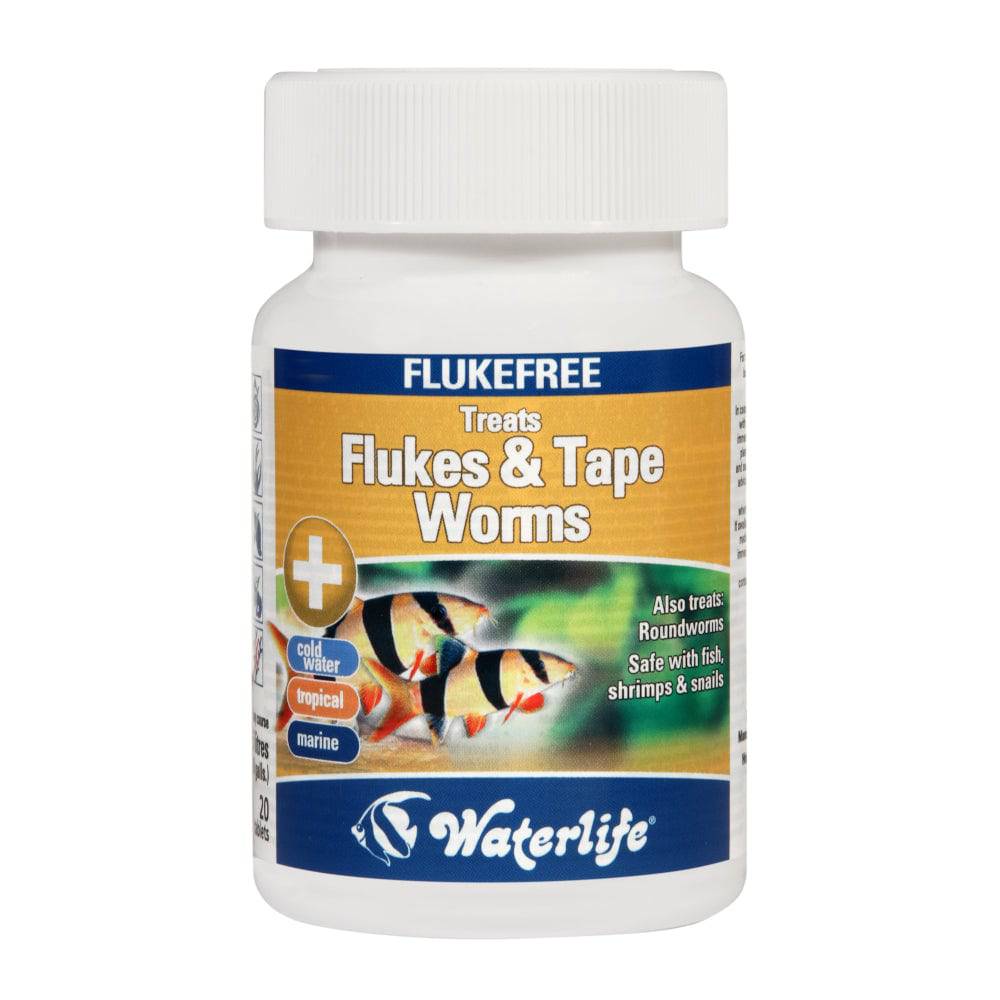 Waterlife Flukefree treats Flukes & Tape Worms 20 tabs - Real Aquatics