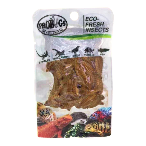 ProBugs Eco Fresh Insects Mealworms 20g