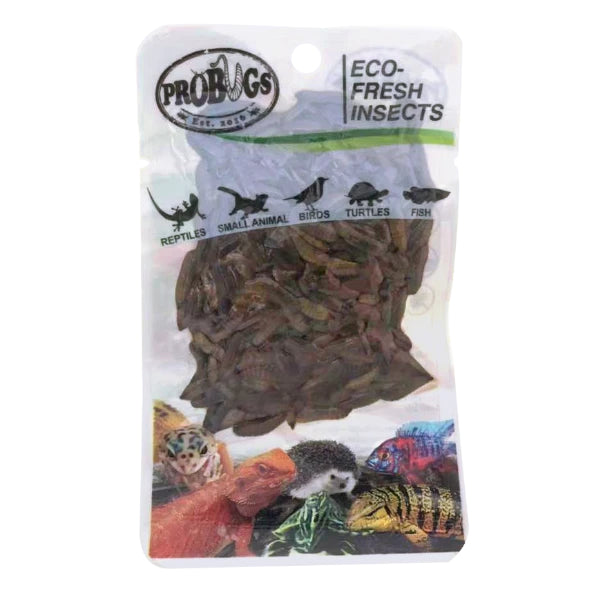 ProBugs Eco Fresh Insects Black Soldier Fly Larvae 20g