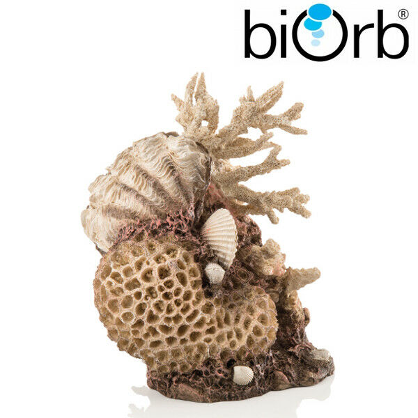 Samuel Baker biOrb Coral Shells Ornament Natural 48360