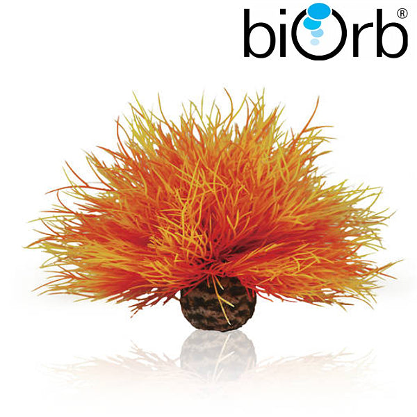 BiOrb Aquatic Sea Lily Flame 46085