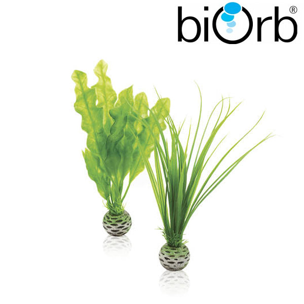 BiOrb Easy Plant Set Green Small Pk of 2 46055