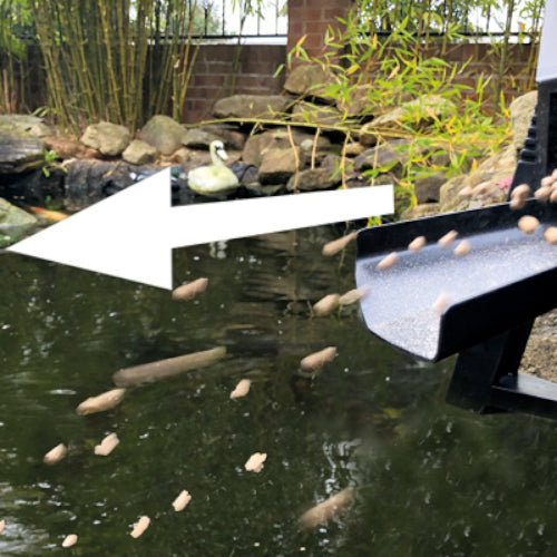 PondXpert Foodflinger Solar Automatic Fish Feeder