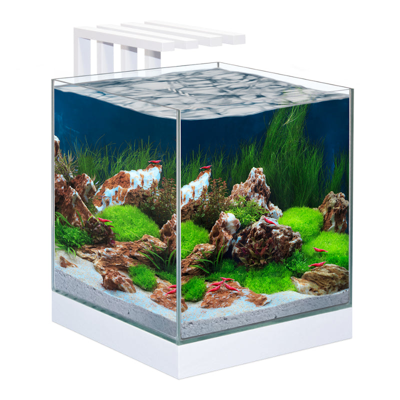 Ciano Shrimp & Small Fish Aquarium Tank NEXUS Pure 25 & Led Lighting 22L