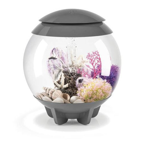 BiOrb Halo 15L aquarium with clear glass, sleek design, and integrated MCR LED lighting for vibrant aquatic display.