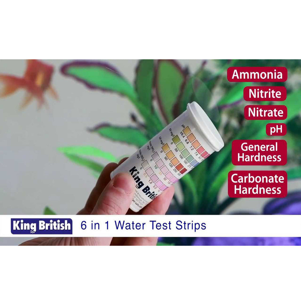 King British 6 in 1 Water Test Strips - 25 Weeks Supply