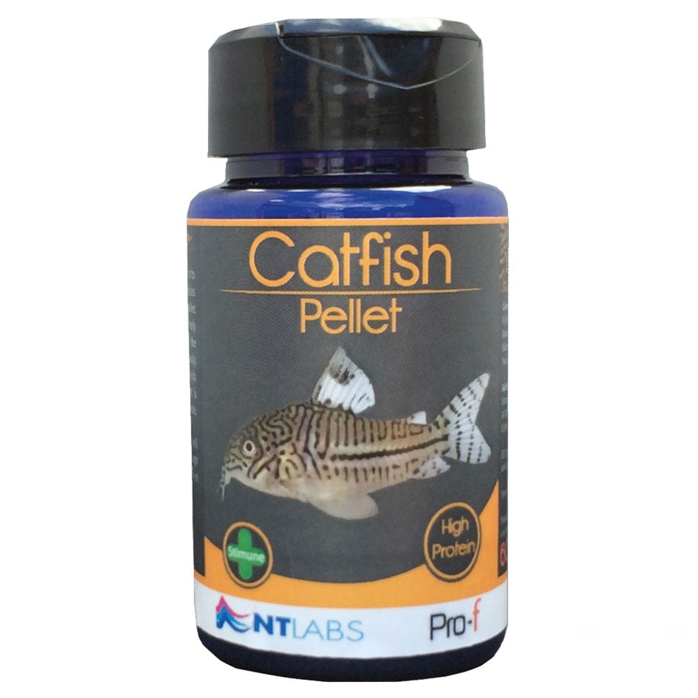 NT Labs Pro-f Catfish Pellet Aquarium Fish Food 60g
