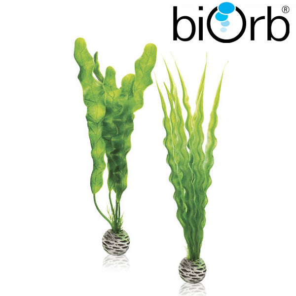 BiOrb Easy Plant Set Green Medium Pk of 2 46056