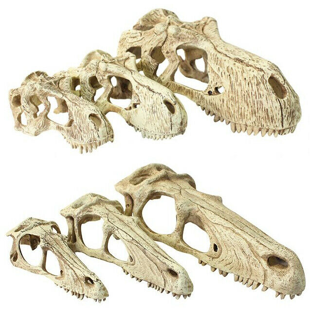 Komodo Reptile Decor T-Rex Skulls 3 Sizes