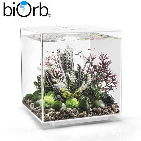 BiOrb Cube 60 Aquarium MCR LED Lighting Black / White / Clear