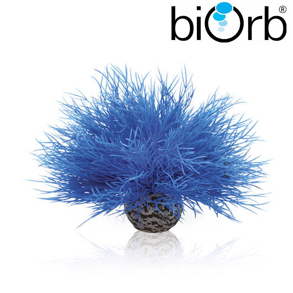 BiOrb Aquatic Sea Lily Blue 46076