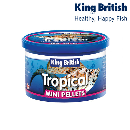 King British Tropical Fish Mini Pellets Food 45g