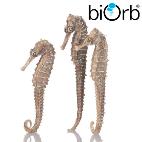 BiOrb Seahorse Set Natural - Pack of 3
