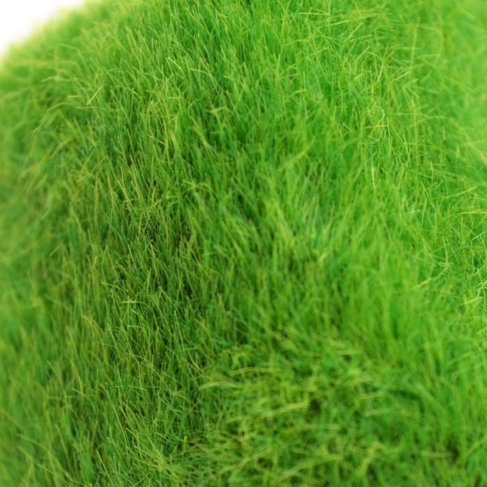 BiOrb Feng Shui Pebble Pack Moss