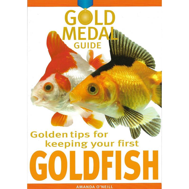 Golden Tips for Keeping your First Goldfish by Amanda O'Neill