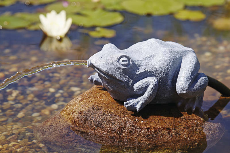 Oase Pond & Garden Water Spouts Feature Frog