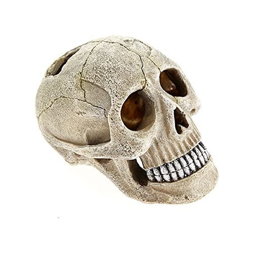 Classic Aquatics Small Skull Ornament