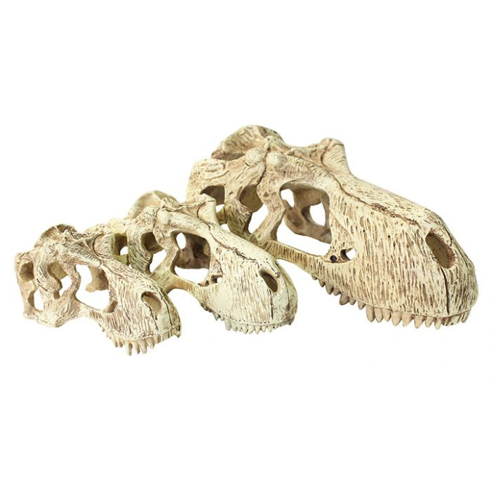 Komodo Reptile Decor Raptor Skulls 3 Sizes