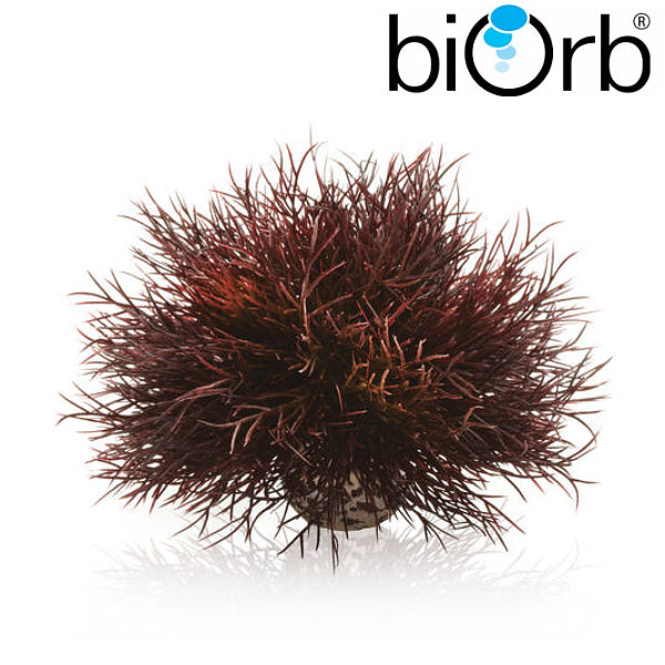 BiOrb Aquatic Sea Lily Crimson 46077