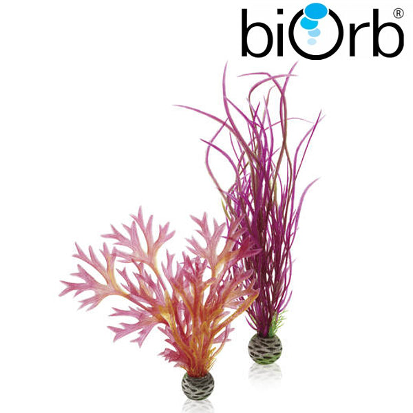 BiOrb Easy Plant Set Red & Pink Medium Pk of 2 46058