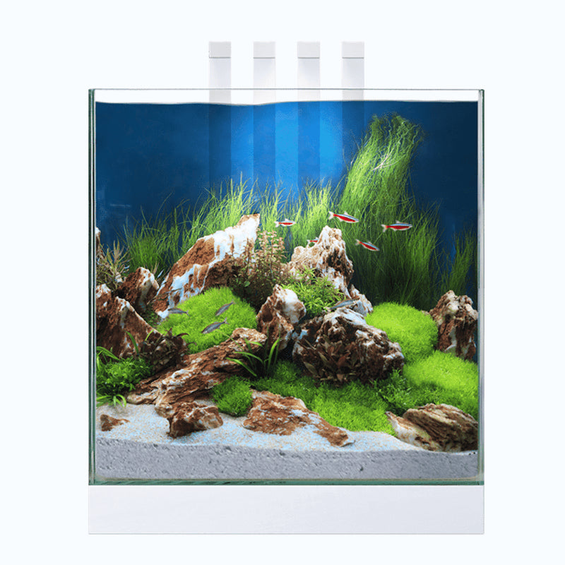 Ciano Shrimp & Small Fish Aquarium Tank NEXUS Pure 25 & Led Lighting 22L