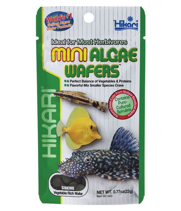 Hikari Tropical Fish Food Mini Algae Wafers 22/85g
